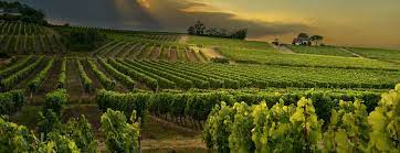 Die Bergerac Weine sind jetzt auch in Berlin erhätlich