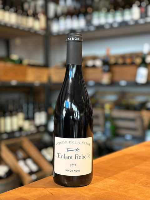 Pinot Noir