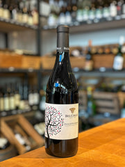 Dolcetto d'Alba