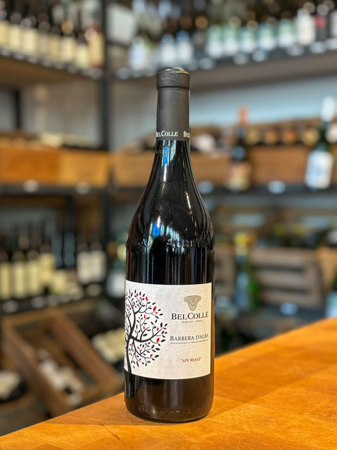 Barbera